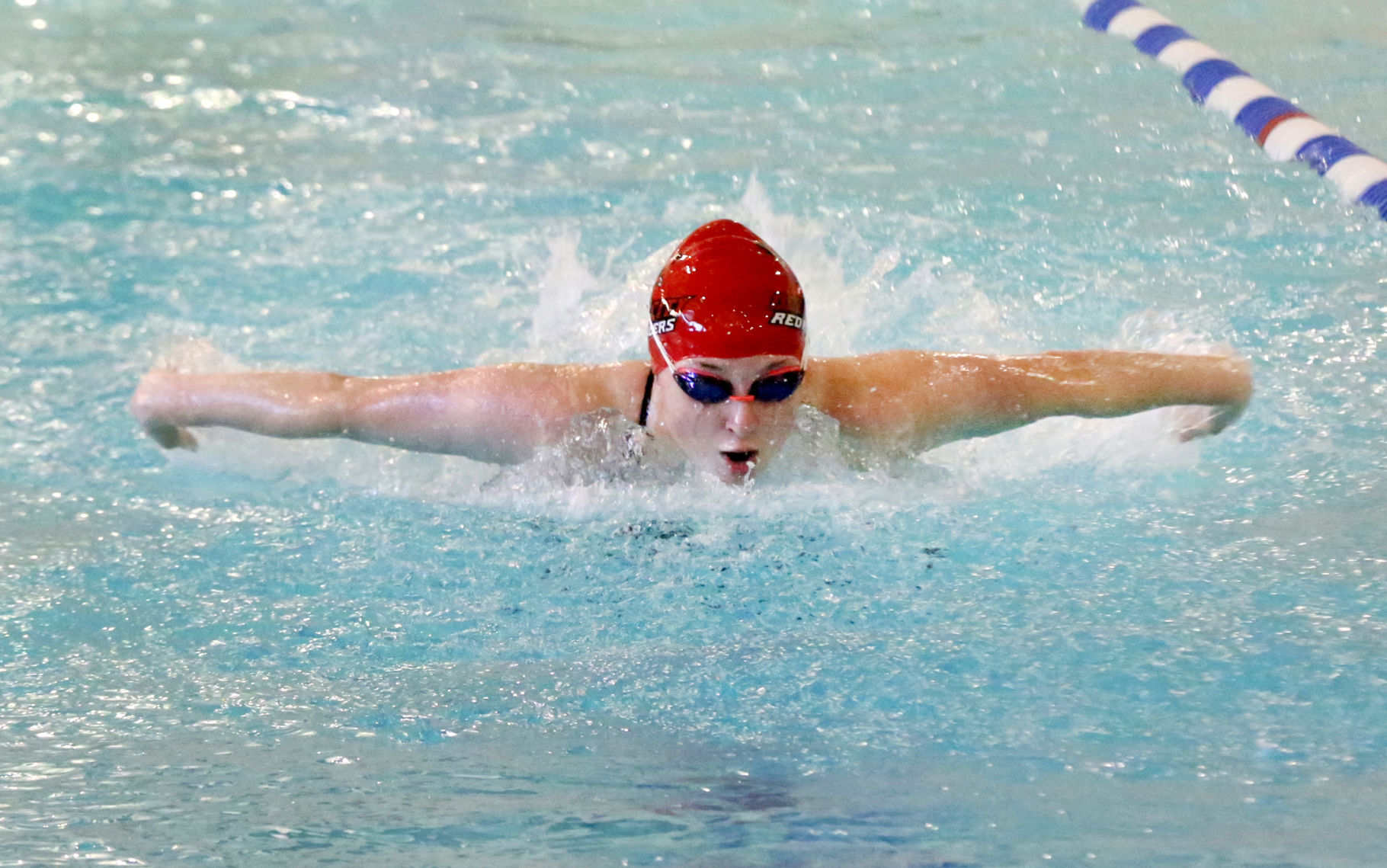 Ocean City Ridley Swimming